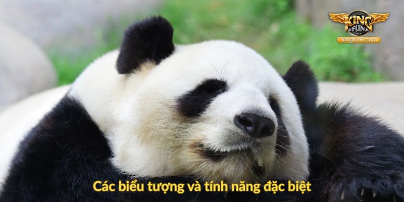 Các biểu tượng và tính năng đặc biệt