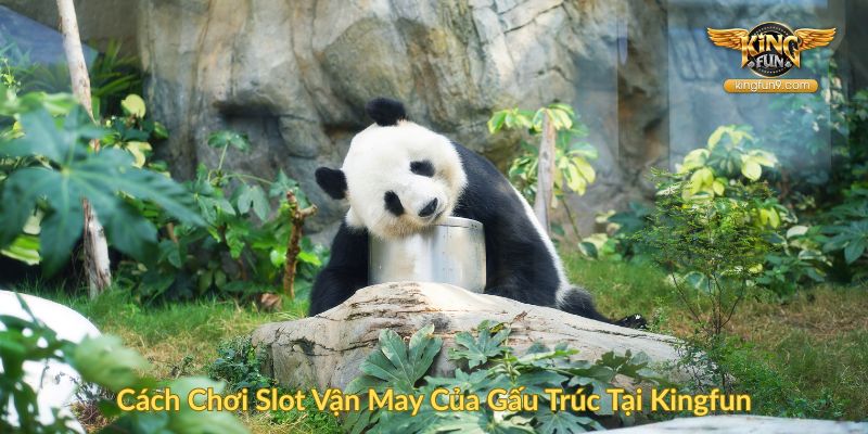 Cách Chơi Slot Vận May Của Gấu Trúc Tại Kingfun