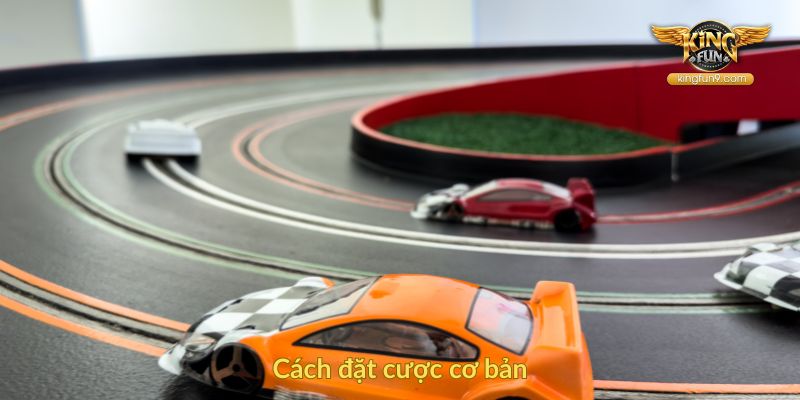 Cách đặt cược cơ bản