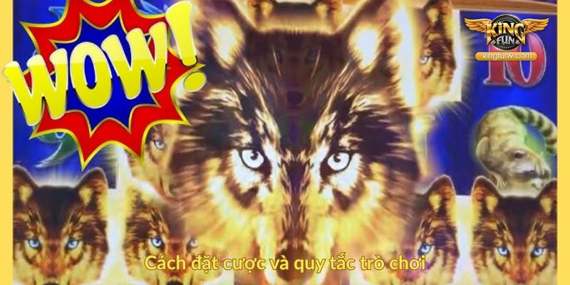 Cách đặt cược và quy tắc trò chơi