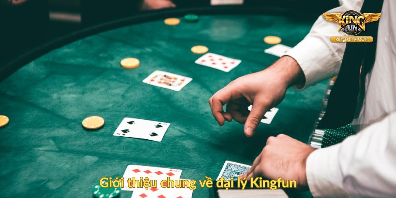 Giới thiệu chung về đại lý Kingfun