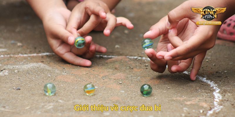 Giới thiệu về cược đua bi