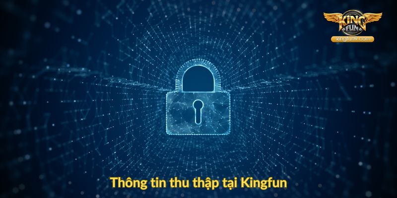 Thông tin thu thập tại Kingfun